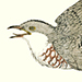 Bumpo Kawamura Gallery